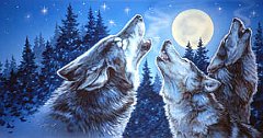 Wolf 1
